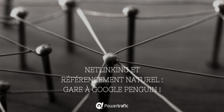 https://www.powertrafic.fr/netlinking-google-penguin/