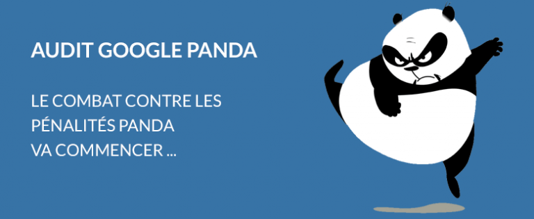 Audit Google Panda